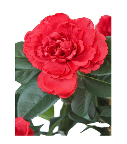 Petit camélia rouge artificiel