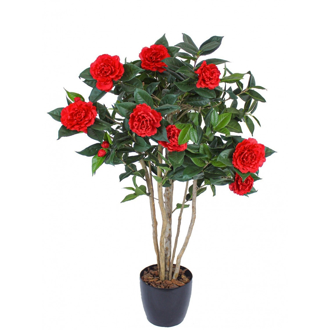 Grand Pot De Fleurs Extérieur Avec Fleurs Rouges Image stock