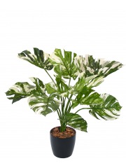 Monstera deliciosa variegata artificiel