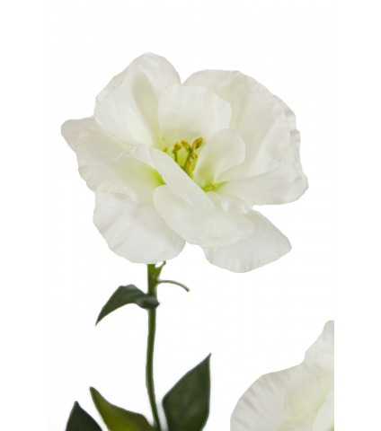Lisianthus artificiel blanc