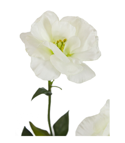 Lisianthus artificiel blanc