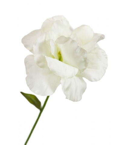 Lisianthus artificiel blanc