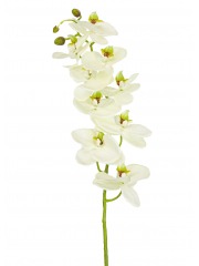 Phalaenopsis artificielle blanche