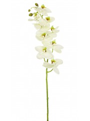 Phalaenopsis artificielle blanche