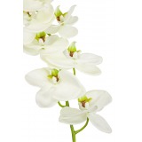 Phalaenopsis artificielle blanche