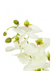 Phalaenopsis artificielle blanche