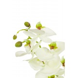 Phalaenopsis artificielle blanche