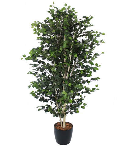 Bouleau artificiel multi-tronc