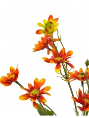 Chrysanthème artificiel rouge orangé