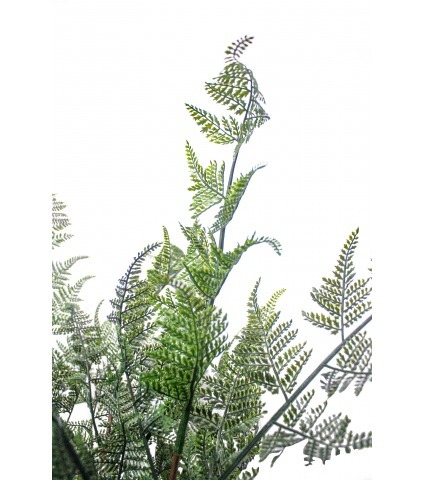 Fougère sauvage artificielle