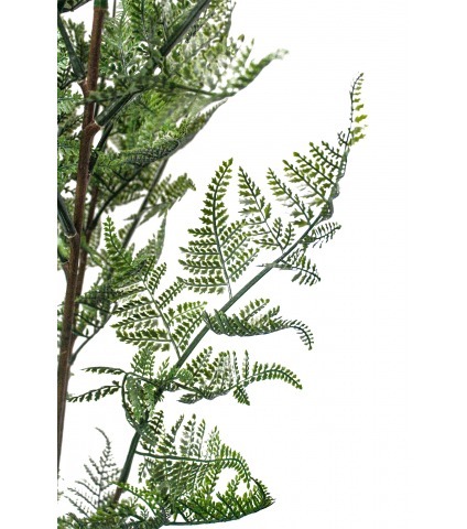 Fougère sauvage artificielle