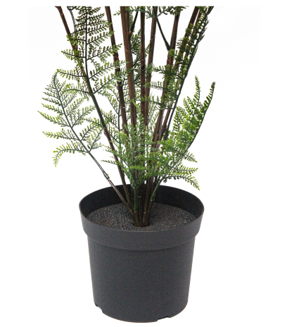 Pot