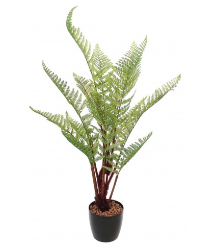 Fougère artificielle dicksonia
