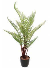 Fougère artificielle dicksonia