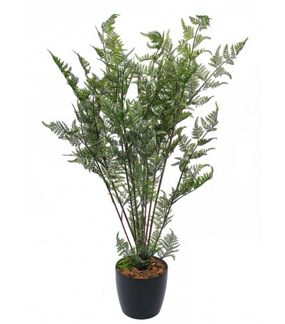 Fougère sauvage artificielle