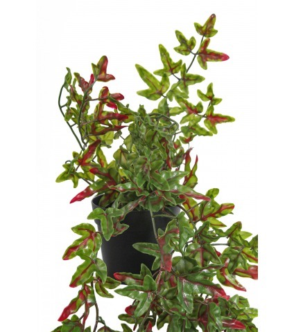 Lierre artificiel vert et rouge en pot