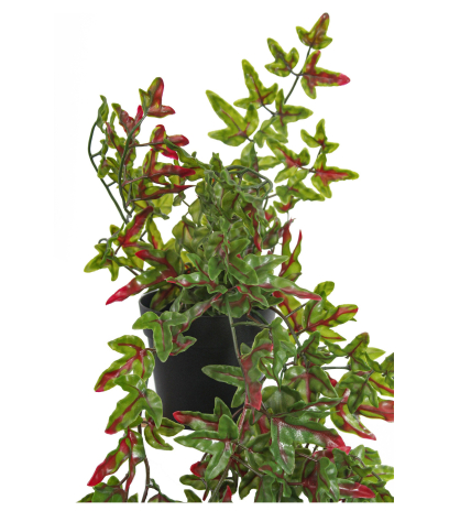Lierre artificiel vert et rouge en pot