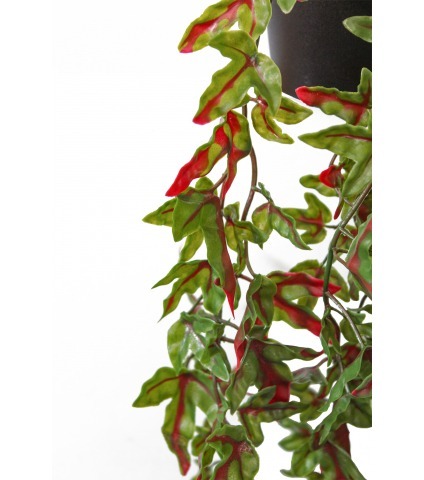 Lierre artificiel vert et rouge en pot