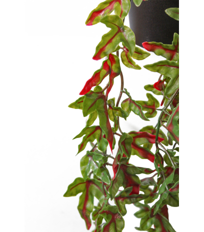 Lierre artificiel vert et rouge en pot