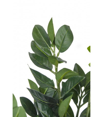 Faux zamier artificiel