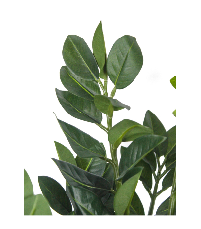 Faux zamier artificiel