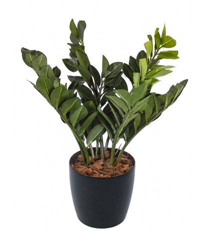 Faux zamier artificiel