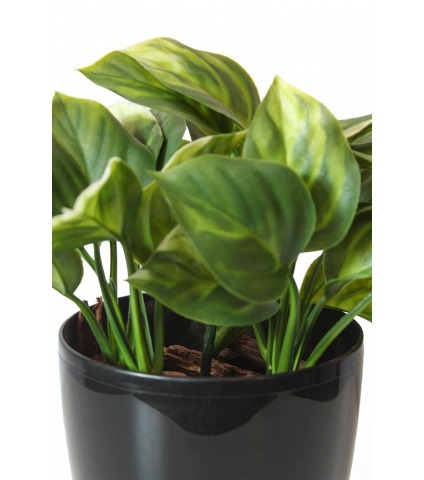 Mini philodendron artificiel vert clair