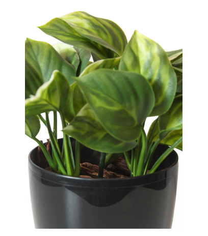 Mini philodendron artificiel vert clair