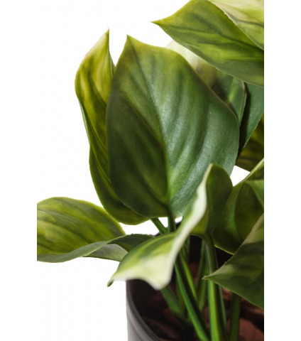 Mini philodendron artificiel vert clair
