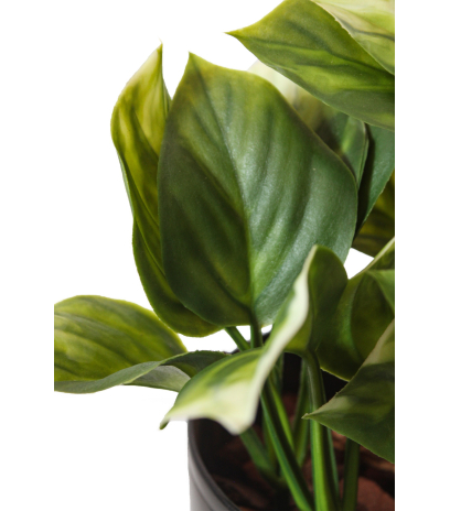Mini philodendron artificiel vert clair