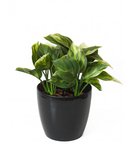Mini philodendron artificiel vert clair