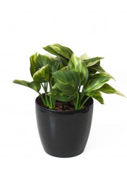 Mini philodendron artificiel vert clair