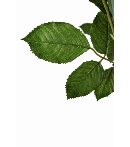 Grand rosier rouge artificiel