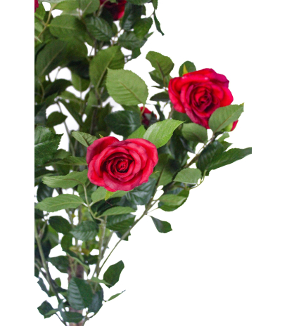 Grand rosier rouge artificiel