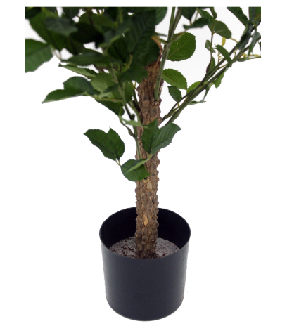 Pot