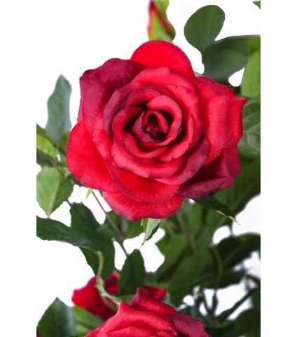 Grand rosier rouge artificiel