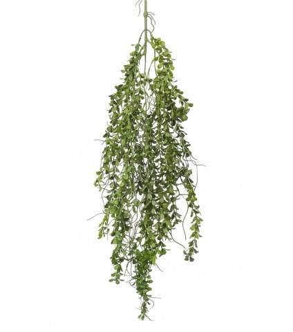 Chute de pourpier artificiel