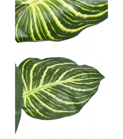 Aphelandra artificiel en pot