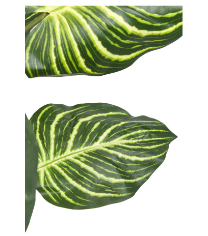 Aphelandra artificiel en pot