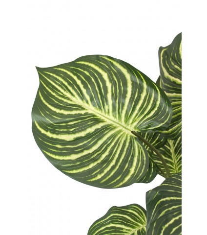 Aphelandra artificiel en pot