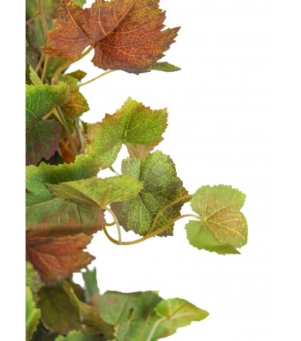 Chute de vigne automnale artificielle