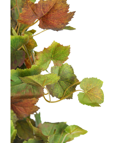 Chute de vigne automnale artificielle