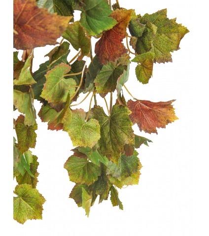 Chute de vigne automnale artificielle