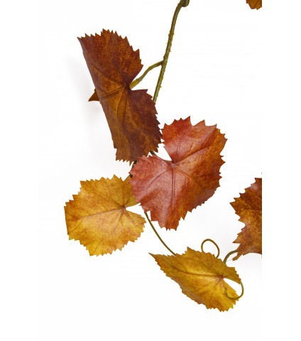 Grande vigne tombante artificielle