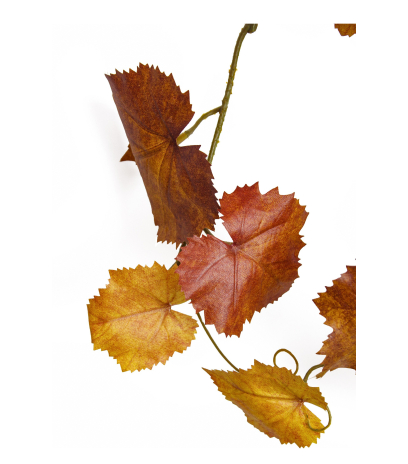Grande vigne tombante artificielle