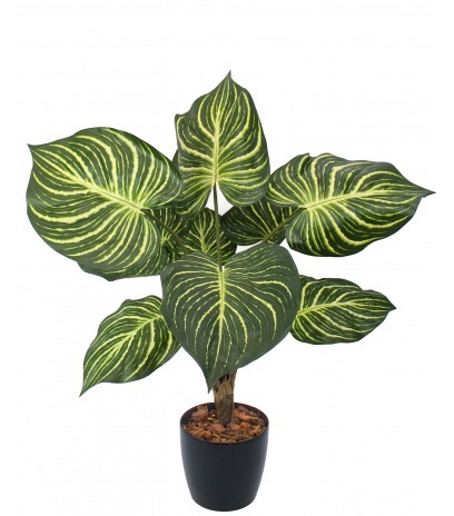 Aphelandra artificiel en pot