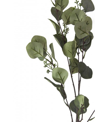 Rameau d'eucalyptus artificiel
