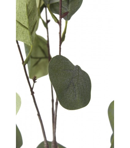 Rameau d'eucalyptus artificiel