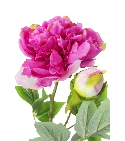 Pivoine artificielle fuchsia