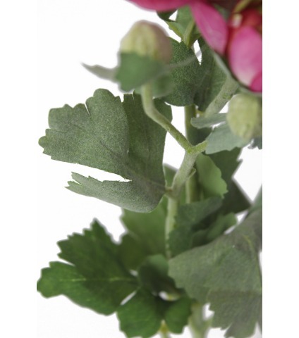 Renoncule artificielle fuchsia